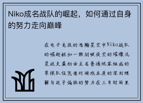 Niko成名战队的崛起，如何通过自身的努力走向巅峰