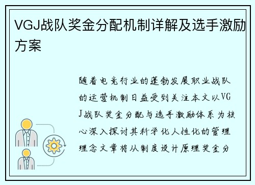 VGJ战队奖金分配机制详解及选手激励方案